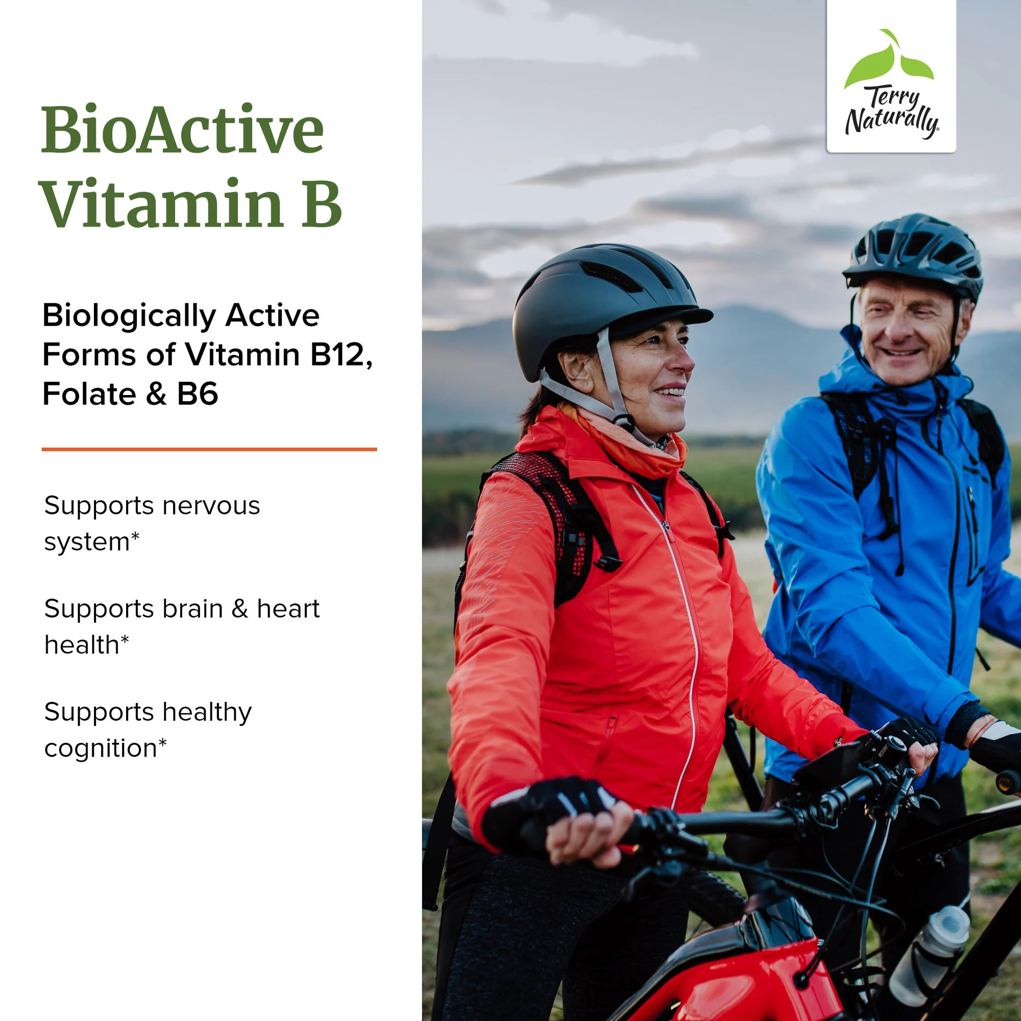 bioactive vitamin b info picture